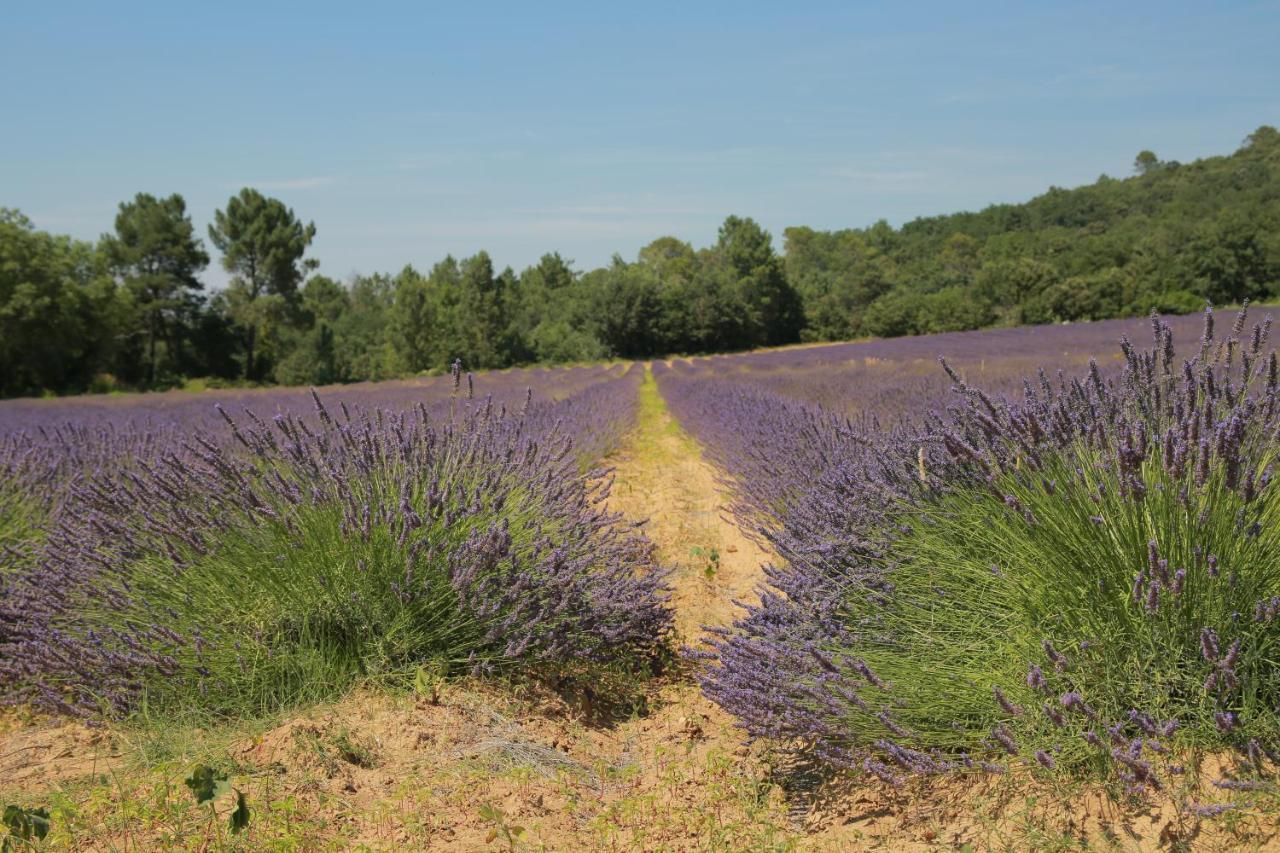 Les Yourtes De Provence Saint-Paulet-de-Caisson Eksteriør bilde